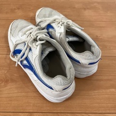 六ツ美中学校　体育館シューズ　25cm 記名ありの画像