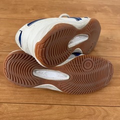 六ツ美中学校　体育館シューズ　25cm 記名ありの画像