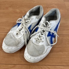 六ツ美中学校　体育館シューズ　25cm 記名あり