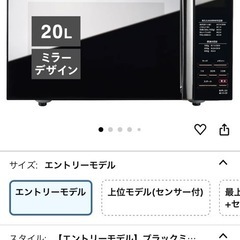 電子レンジ　6/23処分予定の画像