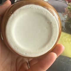 花瓶の画像