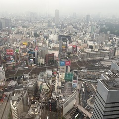 社会人サークルの立ち上げメンバー募集！