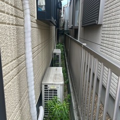 雑草処理と剪定