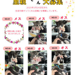 5月24日生まれ