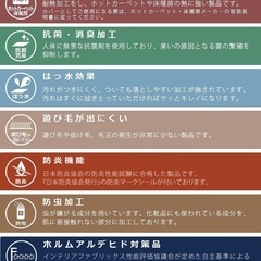 カーペットの画像