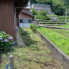 草刈りします