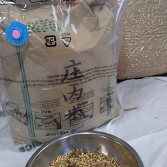 【直接引き取り限定】自然栽培■くず大豆25ｋｇ■乾燥大豆■茶豆含...