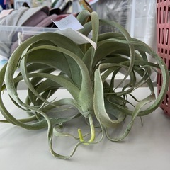 リユースのサカイ東金店 人工観葉植物 TJ12770 の画像