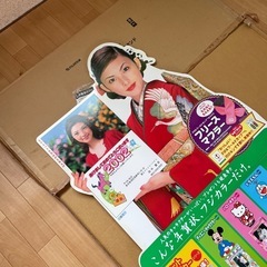田中麗奈　等身大パネルの画像