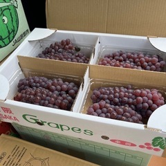 【在庫1パック】大阪🍇デラウェア茶葡萄