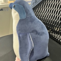 ペンギンの画像