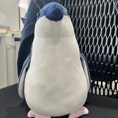 ペンギンの画像