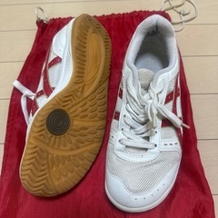 アシックス（体育館シューズ）の画像