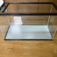 60ｃｍのアクリル水槽②の画像