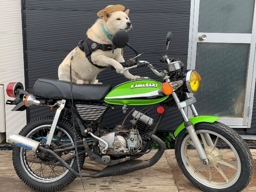 ＫＭ９０　kh250仕様　不動　書付