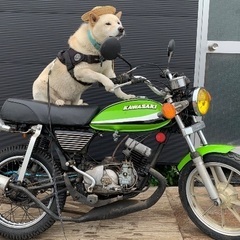 ＫＭ９０　kh250仕様　不動　書付