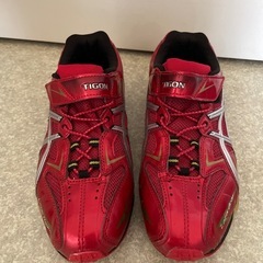 TIGON シューズ24センチ