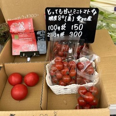 糖度8°🍅ミニトマト・フルーツトマト