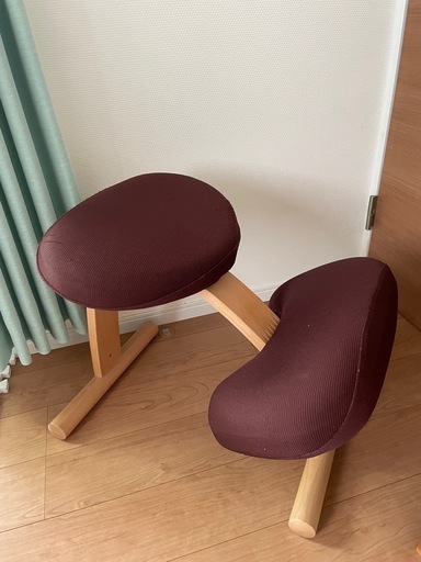 【引渡完了】中古　バランスイージー