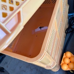 ３つプラスチックケースの画像