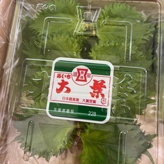 大葉2束¥100🉐✨