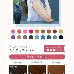 【新品未使用】ビューティーラボのホイップヘアカラー(hoyu)の画像