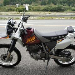 ホンダ　XR250 Baja  中古