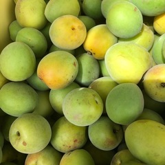 小梅、受け付け終了
