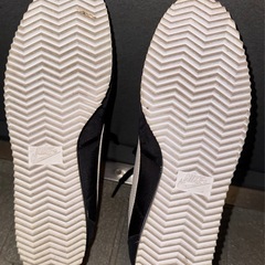 WMNS CLASSIC CORTEZ NYLONの画像