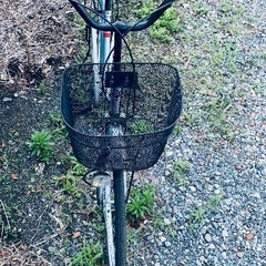 26インチ 自転車の画像