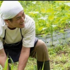 庭や玄関先綺麗にします