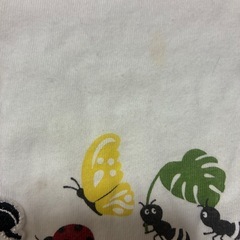 slap slip 80の画像