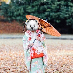 七五三　着物セットの画像