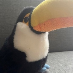 ぬいぐるみ　オオハシ　鳥の画像