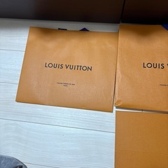 ベージュの保存袋付き、LOUIS VUITTONのフラグメントケース。の画像