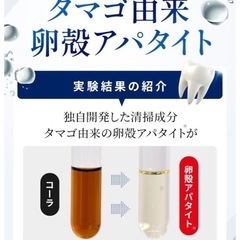 19日までドラキュラ45g一本 の画像