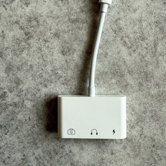 Lightningコネクタ ケーブル USB変換アダプター
