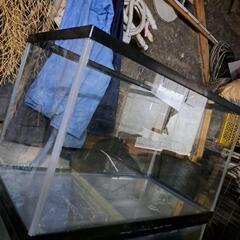 水槽　60cm　エアー付き　砂利付きの画像