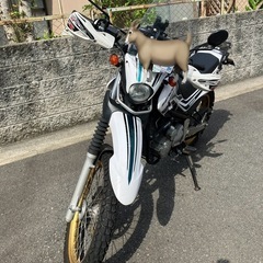 YAMAHA セロー250 2014年式（DG17J）　18,9...