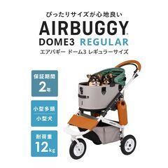 エアバギー DOME3 レギュラー アースグレーの画像