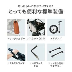 エアバギー DOME3 レギュラー アースグレーの画像