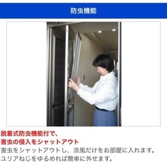 《高級》玄関網戸 Nice Wind's Door ステンカラー(シルバーベージュ) マンション用　内法 W800 H2000の画像