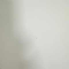 丸テーブル（ホワイト）　幅 80㌢✖️高さ74㌢【美品】の画像