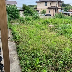 一戸建ての庭の草刈りをお願いしたいです。しっかり作業出来る…