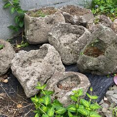 植木鉢　札幌軟石？　プランター　庭石　ロックガーデン　石　ガーデニング　庭　花壇　置き石　ガーデンロック　造園　岩　ガーデンストーンの画像