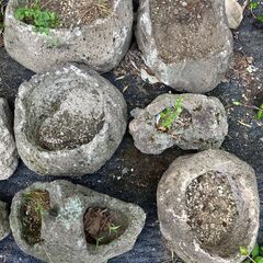 植木鉢　札幌軟石？　プランター　庭石　ロックガーデン　石　ガーデニング　庭　花壇　置き石　ガーデンロック　造園　岩　ガーデンストーンの画像