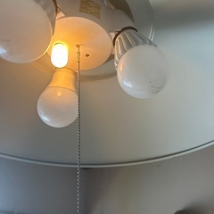 LEDの画像