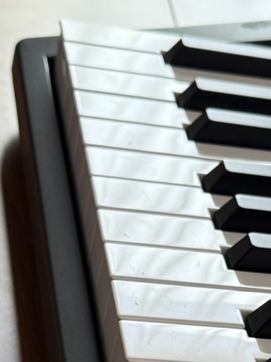 Roland ローランド GO:PIANO88