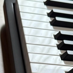 Roland ローランド GO:PIANO88の画像