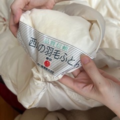 布団の西川　羽毛布団の画像